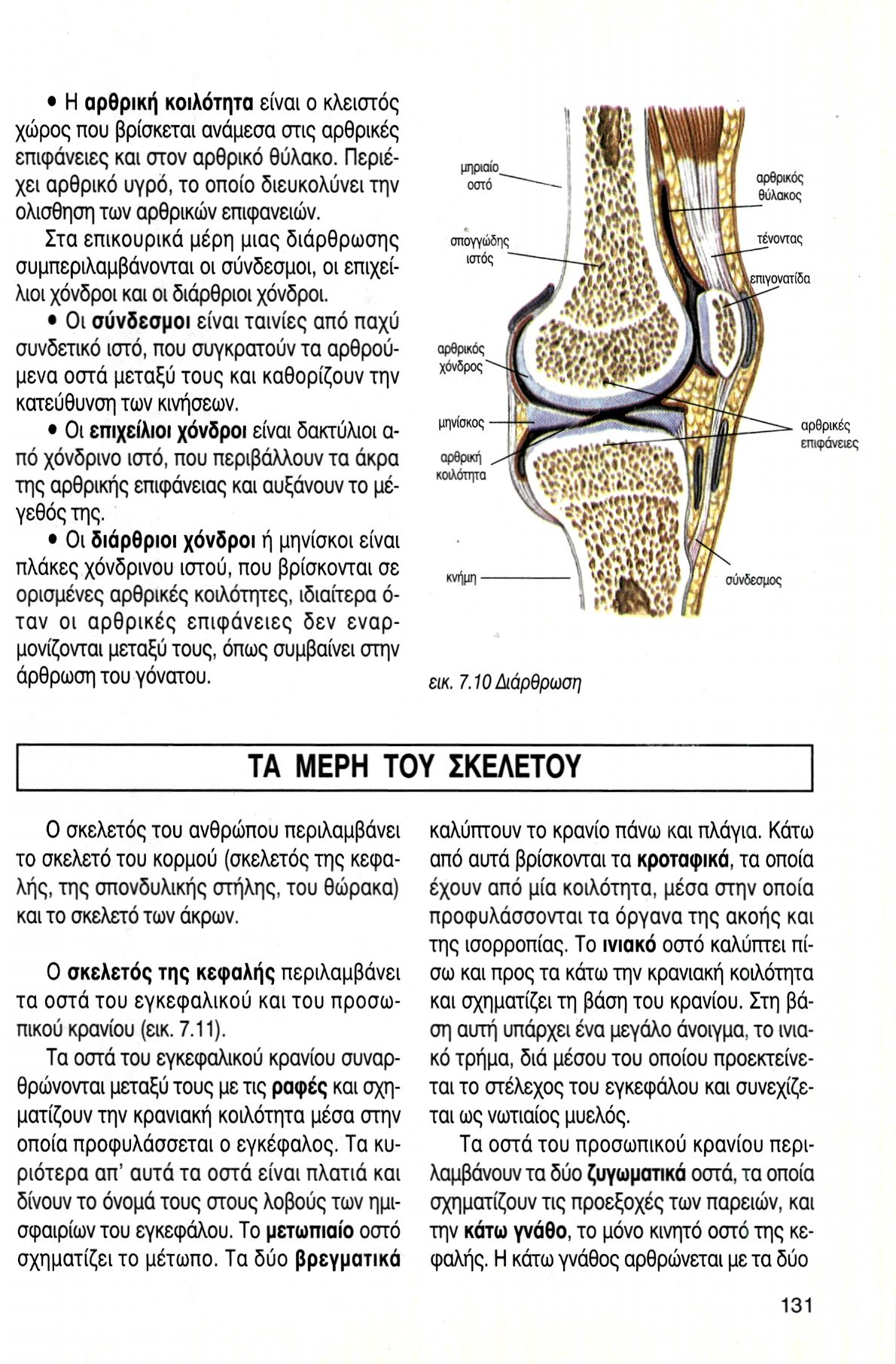 Η αρθρική κοιλότητα είναι ο κλειστός χώρος που βρίσκεται ανάμεσα στις αρθρικές επιφάνειες και στον αρθρικό θύλακο. Περιέχει αρθρικό υγρό, το οποίο διευκολύνει την ολίσθηση των αρθρικών επιφανειών.