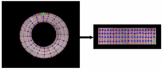 Εικόνα 19 :Κανονικοποίηση της ίριδας και «ξετύλιγμα» σε ορθογώνιο παράθυρο Το να συνδεθεί ότι κάθε unwrapped ίριδα είναι μια δυαδική μάσκα η οποία χωρίζει τα pixels της ίριδας (χαρακτηρισμένα με» 1»)