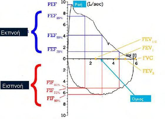 3.2 Καμπύλη ροής-όγκου 3.2.1 Φυσιολογική καμπύλη ροής όγκου Η καμπύλη ροής-όγκου που παράγεται όταν ένας ασθενής εκτελεί μία μέγιστη εισπνευστική προσπάθεια η οποία στη συνέχεια ακολουθείται από μια