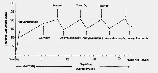 Σχηματική παράσταση αύξησης ποσοστού λίπους