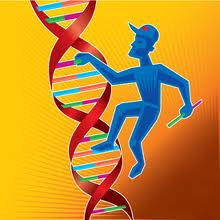 ΕΠΙΔΙΟΡΘΩΣΗ ΤΟΥ DNA Tι είναι επιδιόρθωση του DNA