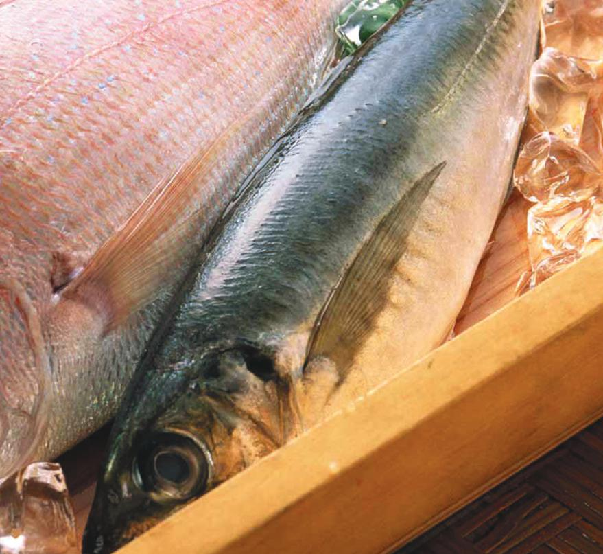 Τα ψάρια είναι μια τροφή πολύ καλή για την υγεία με πολλές βιταμίνες και ιχνοστοιχεία που βοηθάνε τον ανθρώπινο οργανισμό.
