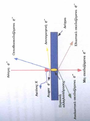 Το είδος του δείγματος Οι αλληλεπιδράσεις που συμβαίνουν ανάμεσα στο δείγμα και τα ηλεκτρόνια της δέσμης παρουσιάζονται στο σχήμα Α.4.1.