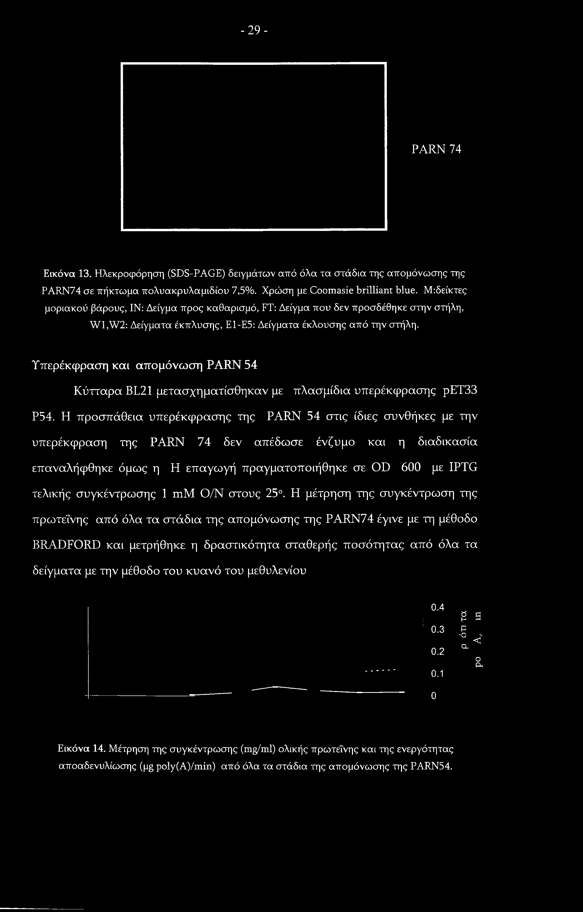 -29- PARN 74 Εικόνα 13. Ηλεκροφόρηση (SDS-PAGE) δειγμάτων από όλα τα στάδια της απομόνωσης της PARN74 σε πήκτωμα πολυακρυλαμιδίου 7,5%. Χρώση με Coomasie brilliant blue.