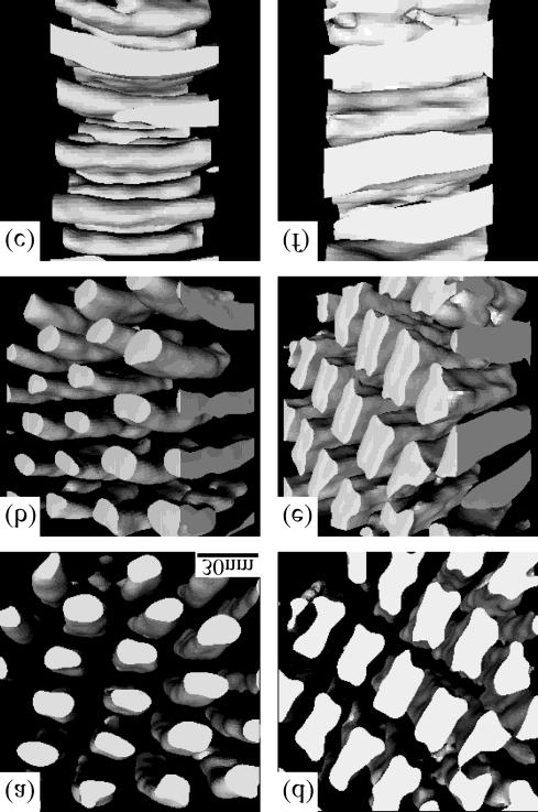 Microdomain Morphology in an ABC 3-Miktoarm Star Terpolymer: A study by Energy-Filtering TEM and 3D Electron Tomography Macromolecules 2003, 36, 6962.