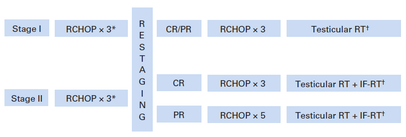 pts=53 *CNS prophylaxis: 12 mg intrathecal methotrexate (IT MTX) during the first 2 RCHOP.