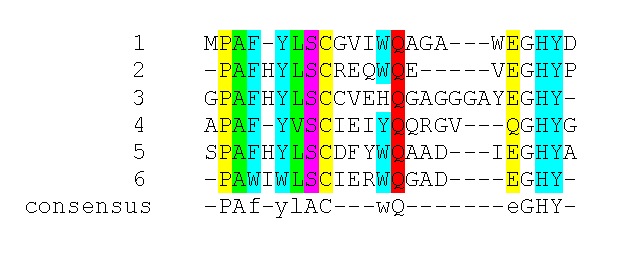 Motifs, Profiles και Patterns σε πολλαπλές στοιχίσεις PROSITE Syntax: