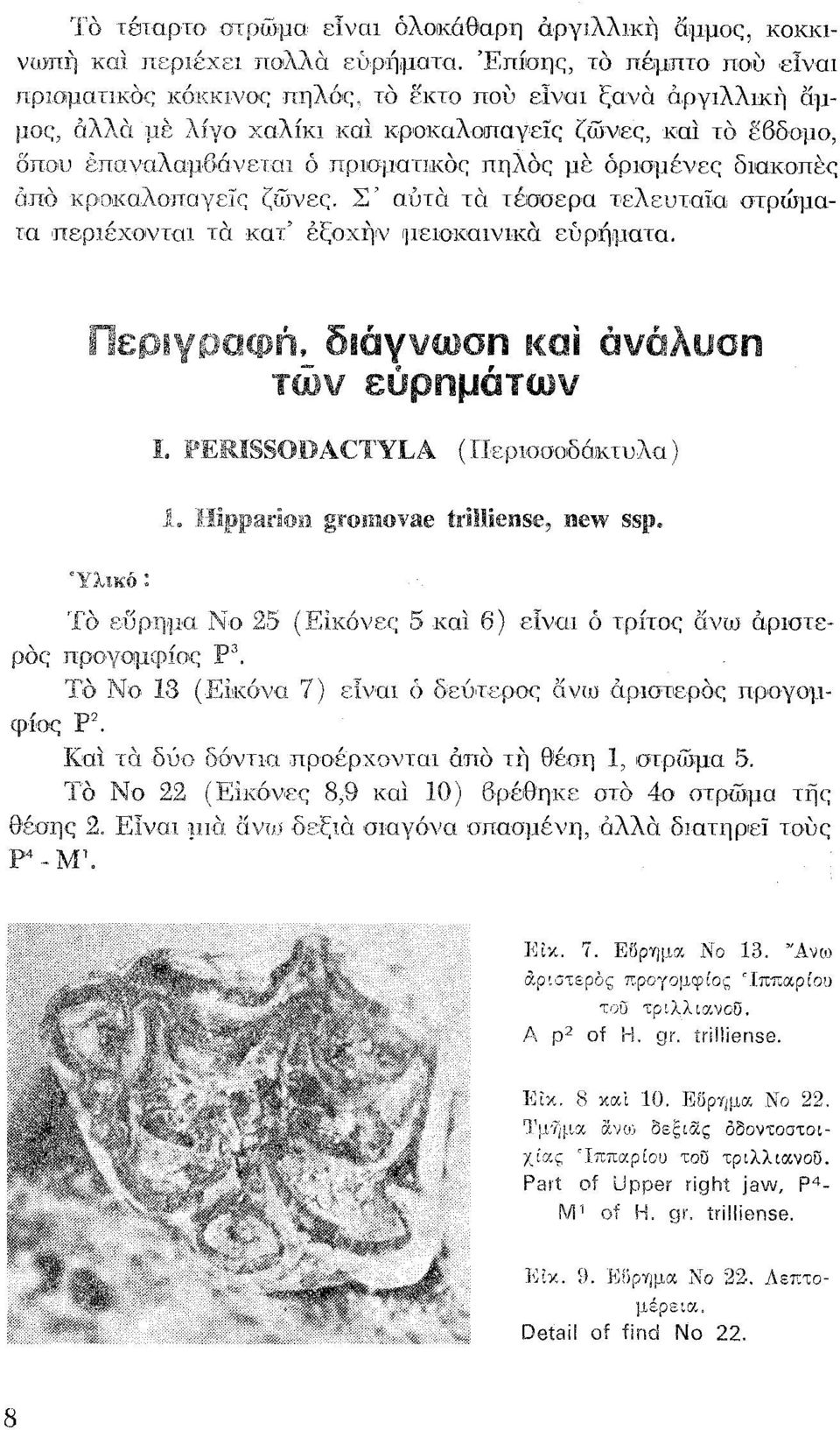 Σ' αύ ι«τα τέυοερα τελευταία στρώματα και.' έξοχιιγv μειοκαινικα ευρήματα. διάγν ση 1<01 άνάλυση ευρημάτων 5 και 6) είναι ό τρίιοοάνω άριστε- Τιο ]\Ιο 13 Ρ2. ρ4_μι. 7) είναι δ r"<~".o c"'-r.