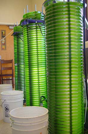 Ή διάφανων πλαστικών σωλήνων (tubes) (50-200 L). Ή εξωτερικών (outdoor tanks) (2.