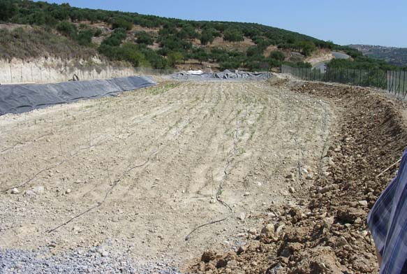 Εικόνα 11. Όψη τεχνητού υγροβιοτόπου πριν από τη φύτευση AΠΟΛΥΜΑΝΣΗ (ΧΛΩΡΙΩΣΗ) ΤΗΣ ΕΚΡΟΗΣ Γενικά.