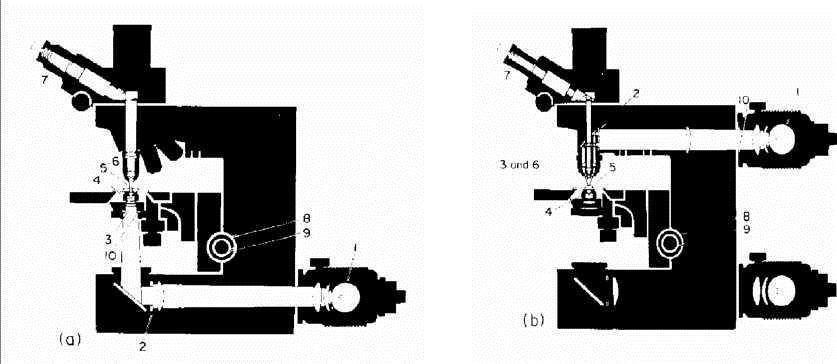 Εικόνα 5.1: Τα μέρη ενός πολωτικού μικροσκοπίου Εικόνα5.2: Η δομή δυο σύγχρονων μικροσκοπίων:a) Διερχόμενου φωτός, b) Ανακλώμενου φωτός.