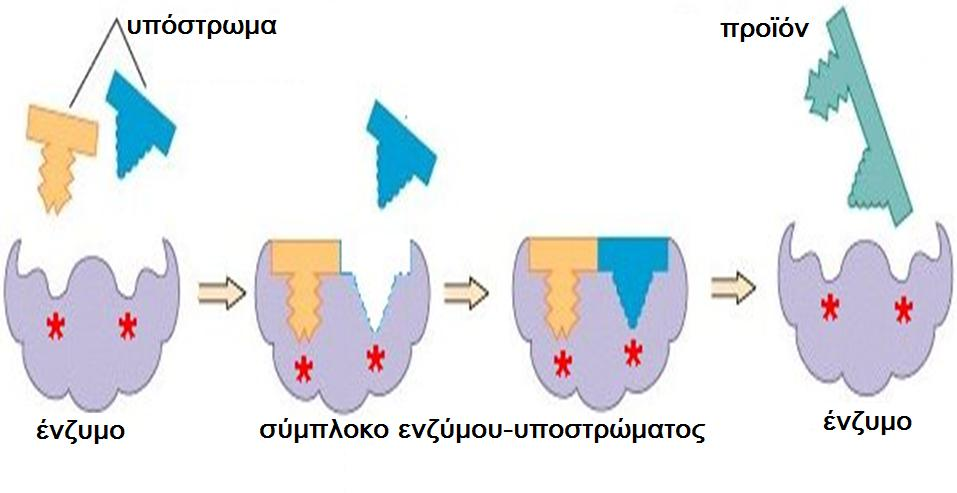 Παράδειγμα