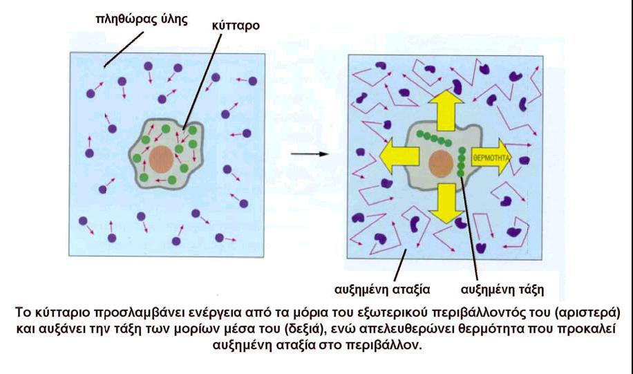 Ταύτιση των οργανισμών με το