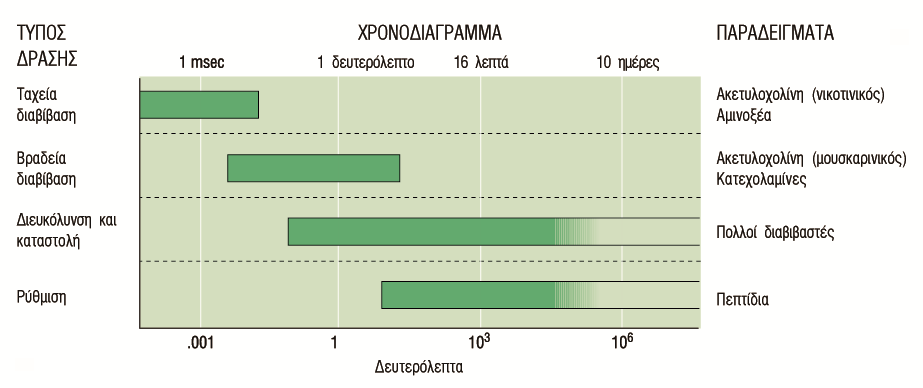 Τα χρονοδιαγράμματα δράσης των