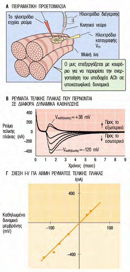 Διερεύνηση της ιοντικής φύσης