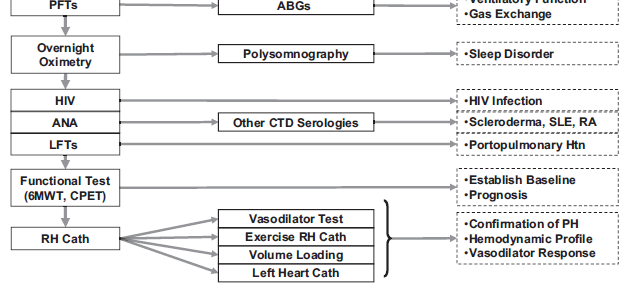 ιαγνωστικός αλγόριθµος ΠΑΥ ACCF/AHA 2009 Expert Consensus Document