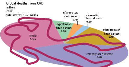 καρδιαγγειακά νοσήματα οφείλονται 4,35 εκατομμύρια θάνατοι ετησίως, που αντιστοιχούν στο 49% των συνολικών θανάτων. Επιπρόσθετα, τα καρδιαγγειακά αποτελούν την κύρια αιτία νοσηρότητας στην Ευρώπη.