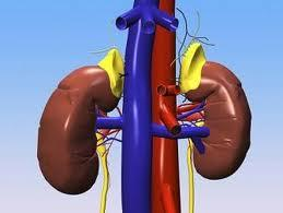 Adrenal Incidentaloma (AI) Κλινικά μη εμφανείς επινεφριδιακές μάζες που ανακαλύπτονται τυχαία κατά τη διάρκεια διαγνωστικού ελέγχου ή θεραπείας για