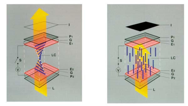 LIQUID CRYSTAL DISPLAY (LCD) Ćelija LCD-a u OFF stanju