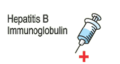 Προστατευτικός τίτλος αντισωμάτων (anti-hbs >10 miu/ml) 90% ανοσοεπαρκών ενηλίκων 95% ανοσοεπαρκή βρέφη, παιδιά, έφηβοι World Health