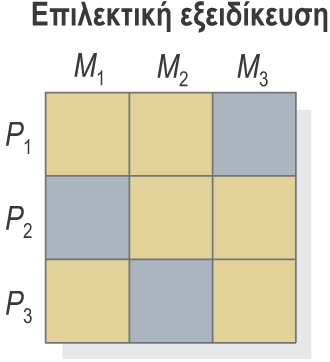 Αναγνώριση των τμημάτων της αγοράς 11/14 Μοντέλα επιλογής της αγοράς στόχου.