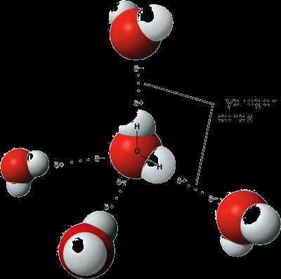 Μόριο Η 2 Ο Μη-γραμμικό μόριο Πολωμένοι δεσμοί