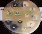 Antibiograma Metoda difuzimetrică Medii de cultura solide - Mueller Hinton AB depuse pe placa însămânţată cu