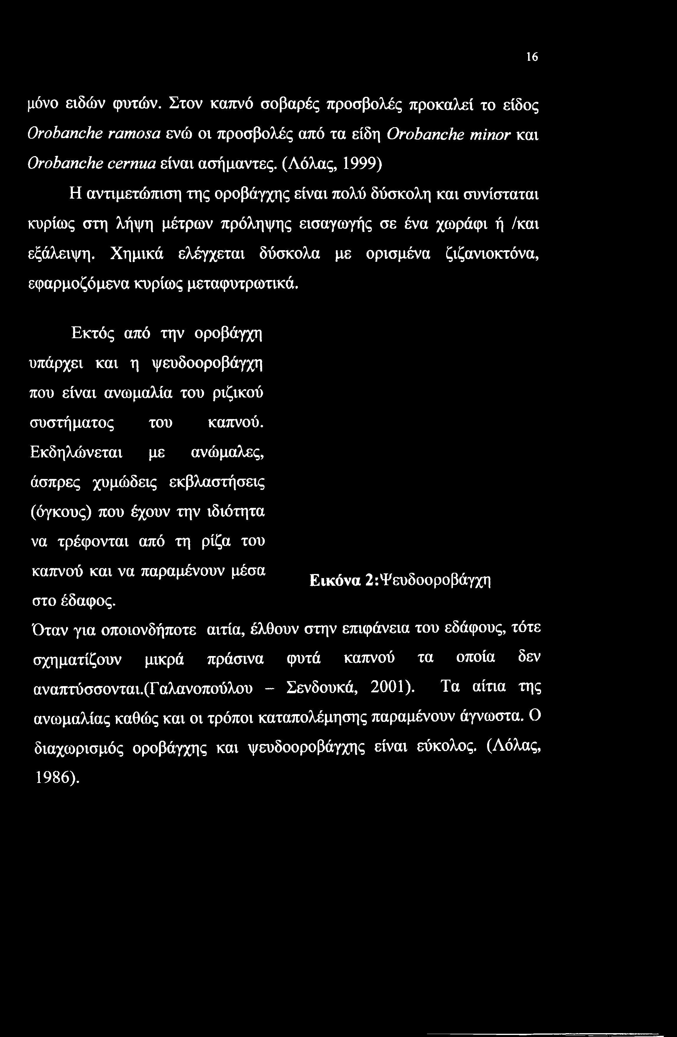 16 μόνο ειδών φυτών. Στον καπνό σοβαρές προσβολές προκαλεί το είδος Orobanche ramosa ενώ οι προσβολές από τα είδη Orobanche minor και Orobanche cernua είναι ασήμαντες.