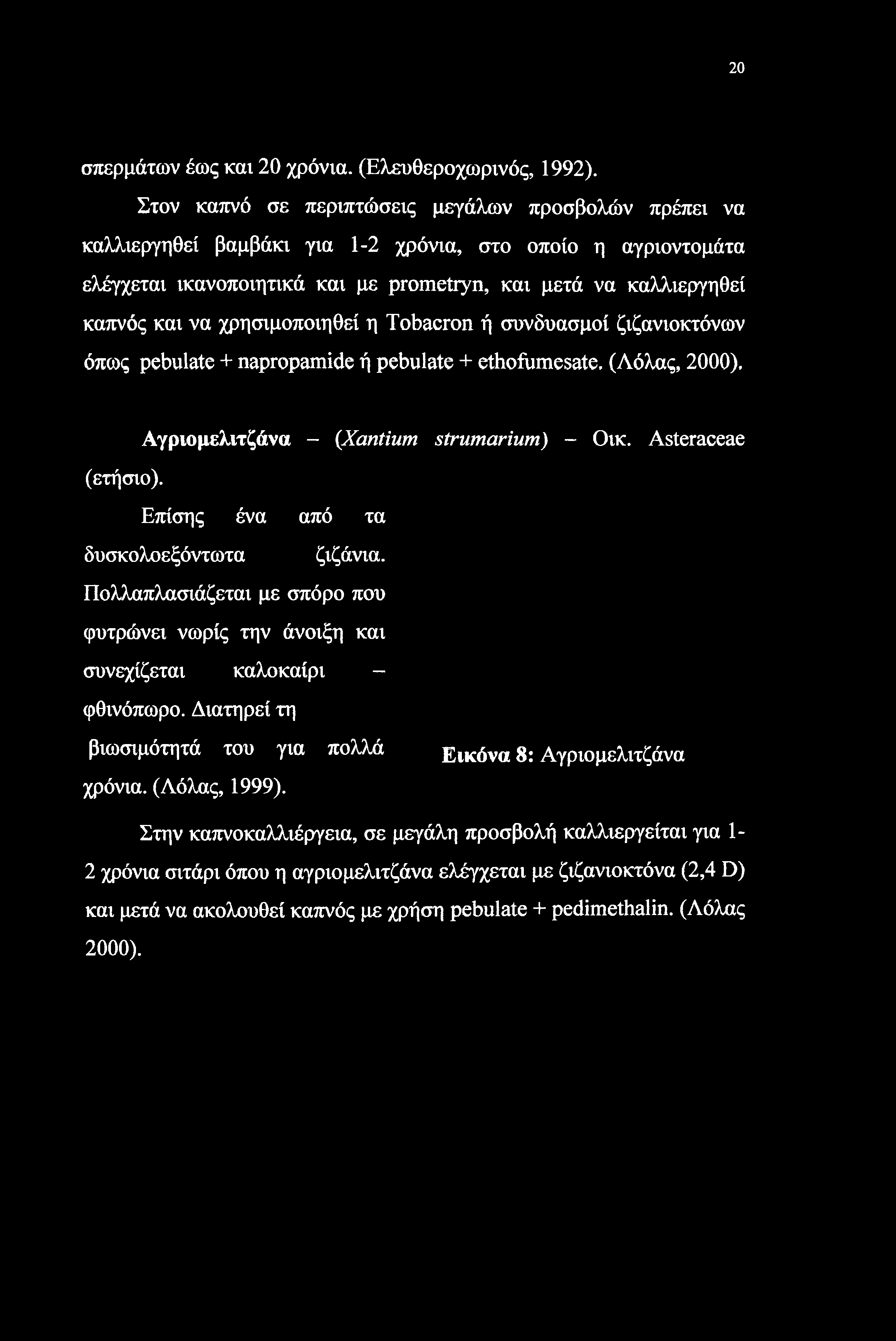 20 σπερμάτων έως και 20 χρόνια. (Ελευθεροχωρινός, 1992).