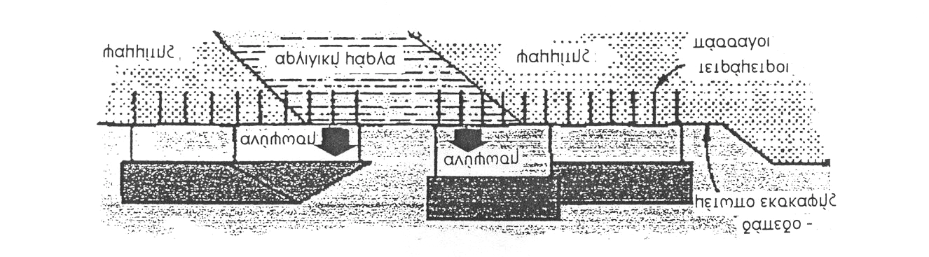 3 Αδιατάρακτο δείγµα αργίλου Αναζυµωθέν δείγµα αργίλου Σχ.