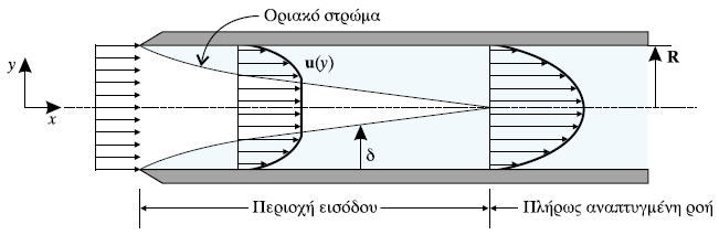 Πλήρως ανεπτυγμένη ροή Περιοχή εισόδου: Αυξάνει συνεχώς το οριακό στρώμα σε πάχος, μέχρις ότου η ροή να καταστεί πλήρως αναπτυγμένη.