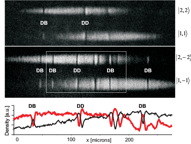 2.4. Άλλες εντοπισμένες λύσεις σε μείγματα BEC Σχήμα 2.19: Πειραματικές εικόνες που δείχνουν τον σχηματισμό DB σολιτονίων που συνυπάρχουν με τα ταλαντούμενα σκοτεινά-σκοτεινά (dark-dark, DD).
