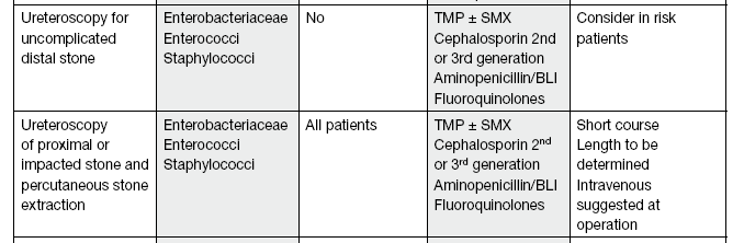 Μικροβιουρία Staghorn / Positive Urine Culture Αντιβιοθεραπεία 24h προ χειρουργείου Michel MS,