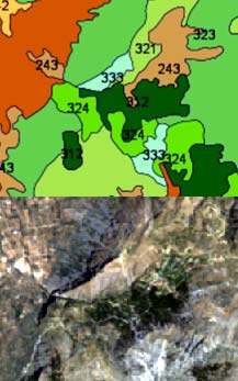 Κεφάλαιο 3 Μεθοδολογία Ιδιότητα Τιμή 312ConiferousForest or 313MixedForest Trees30-100%, contains ConiferousTrees75-100%, Shrubs dominate ConiferousTrees hasfloraheight high Πίνακας 3.