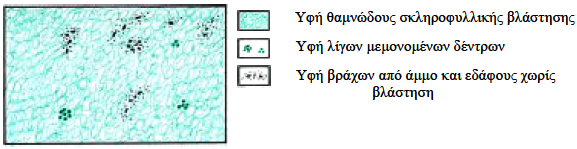 Κεφάλαιο 2 Ανασκόπηση Βιβλιογραφίας 3.2.3. Σκληροφυλλική βλάστηση Περιγραφή Βλάστηση θαμνωδών και σκληρόφυλλων. Περιλαμβάνει ρεικότοπους και χαμόδεντρα και φρύγανα. Εικόνα 2.