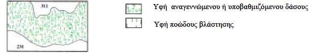 Κεφάλαιο 2 Ανασκόπηση Βιβλιογραφίας 3.2.4 Μεταβατικές δασώδεις-θαμνώδεις εκτάσεις Περιγραφή Θαμνώδης και ποώδης βλάστηση με σκόρπια δέντρα.