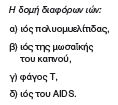 Ιοί: Δομή