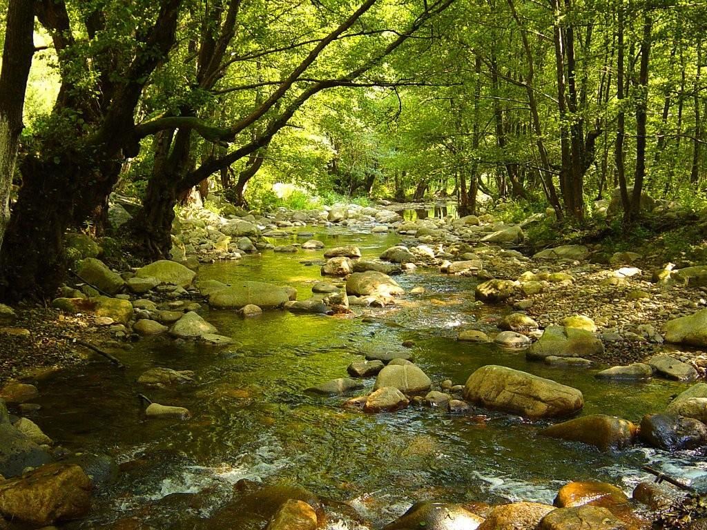 Το νερό βρίσκεται