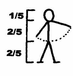 Δημιουργία σκίτσων για τα ημερήσια πλάνα Σκίτσο: Χατζόπουλος (2012, σελ. 532). Αναλογίες σκίτσου Χέρια = πόδια = σώμα.