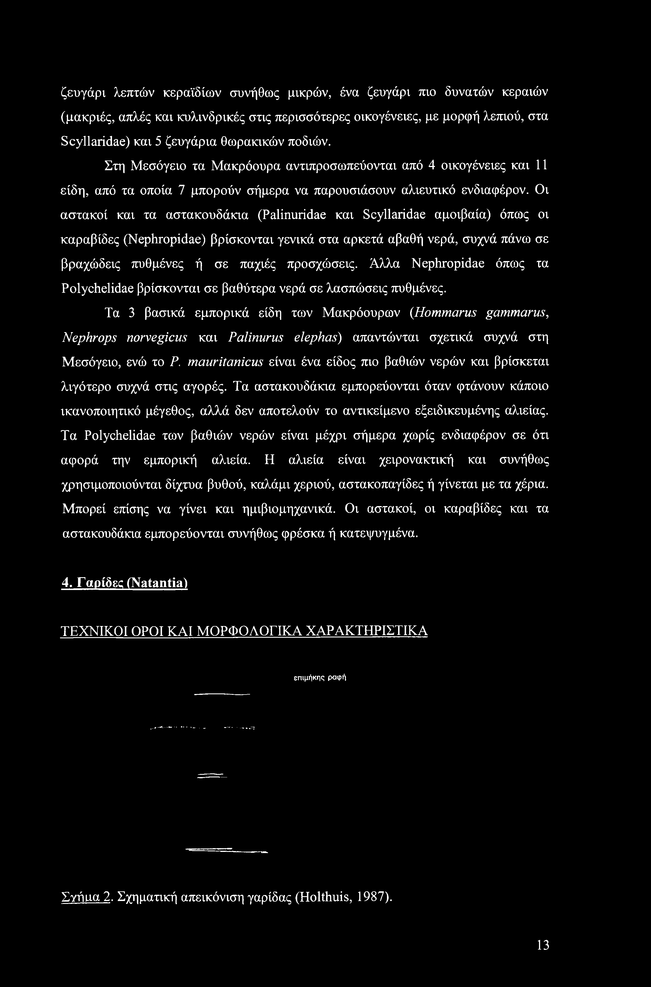 ζευγάρι λεπτών κεραϊδίων συνήθως μικρών, ένα ζευγάρι πιο δυνατών κεραιών (μακριές, απλές και κυλινδρικές στις περισσότερες οικογένειες, με μορφή λεπιού, στα Scyllaridae) και 5 ζευγάρια θωρακικών