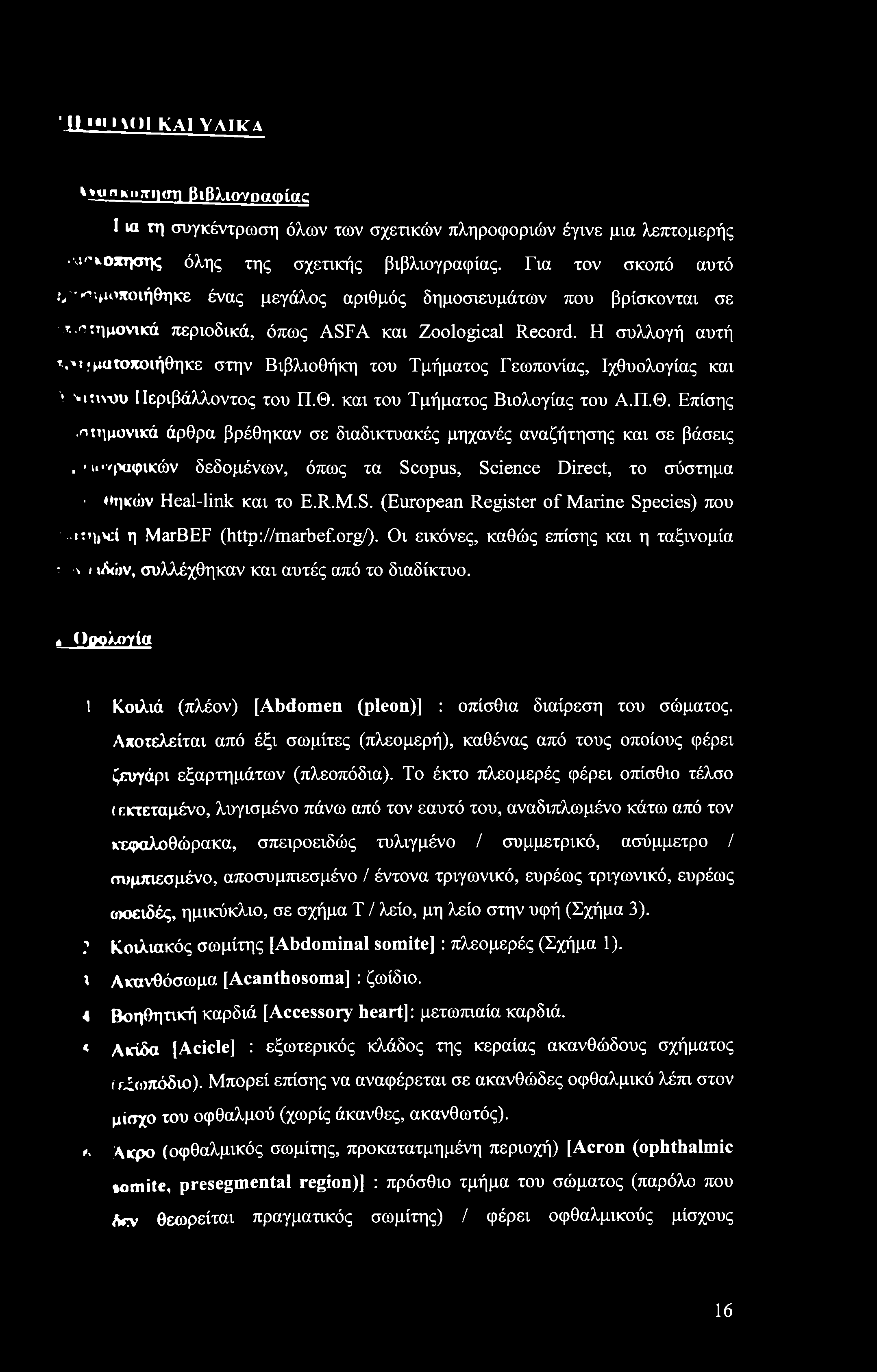 ' ll < > \( ) ΚΑΙ ΥΛΤΚΓΑ v Ϊ S1 nko.tium βιβλιογραφίας I ui τη συγκέντρωση όλων των σχετικών πληροφοριών έγινε μια λεπτομερής κισκόπησης όλης της σχετικής βιβλιογραφίας.