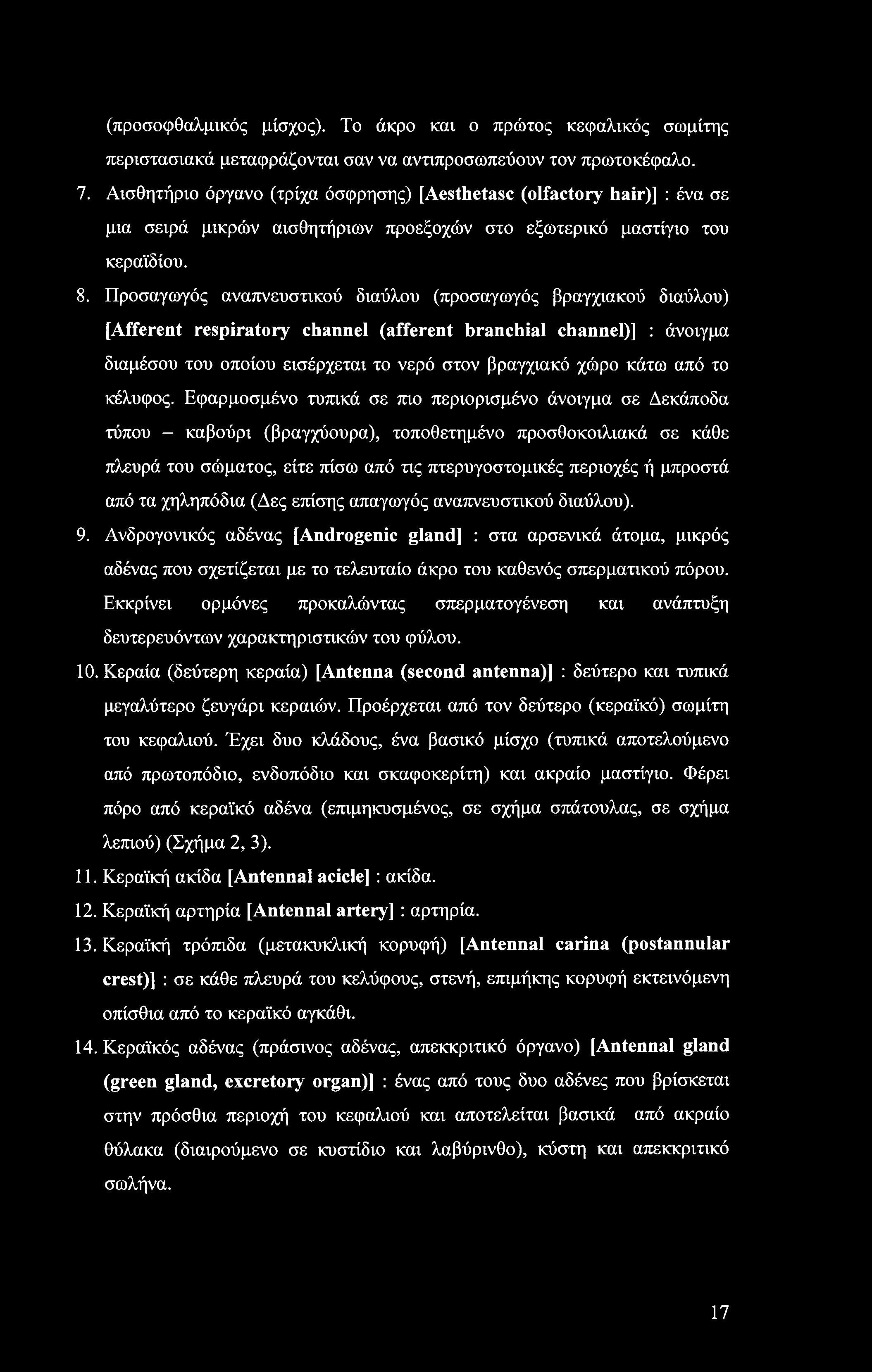 (προσοφθαλμικός μίσχος). Το άκρο και ο πρώτος κεφαλικός σωμίτης περιστασιακά μεταφράζονται σαν να αντιπροσωπεύουν τον πρωτοκέφαλο. 7.