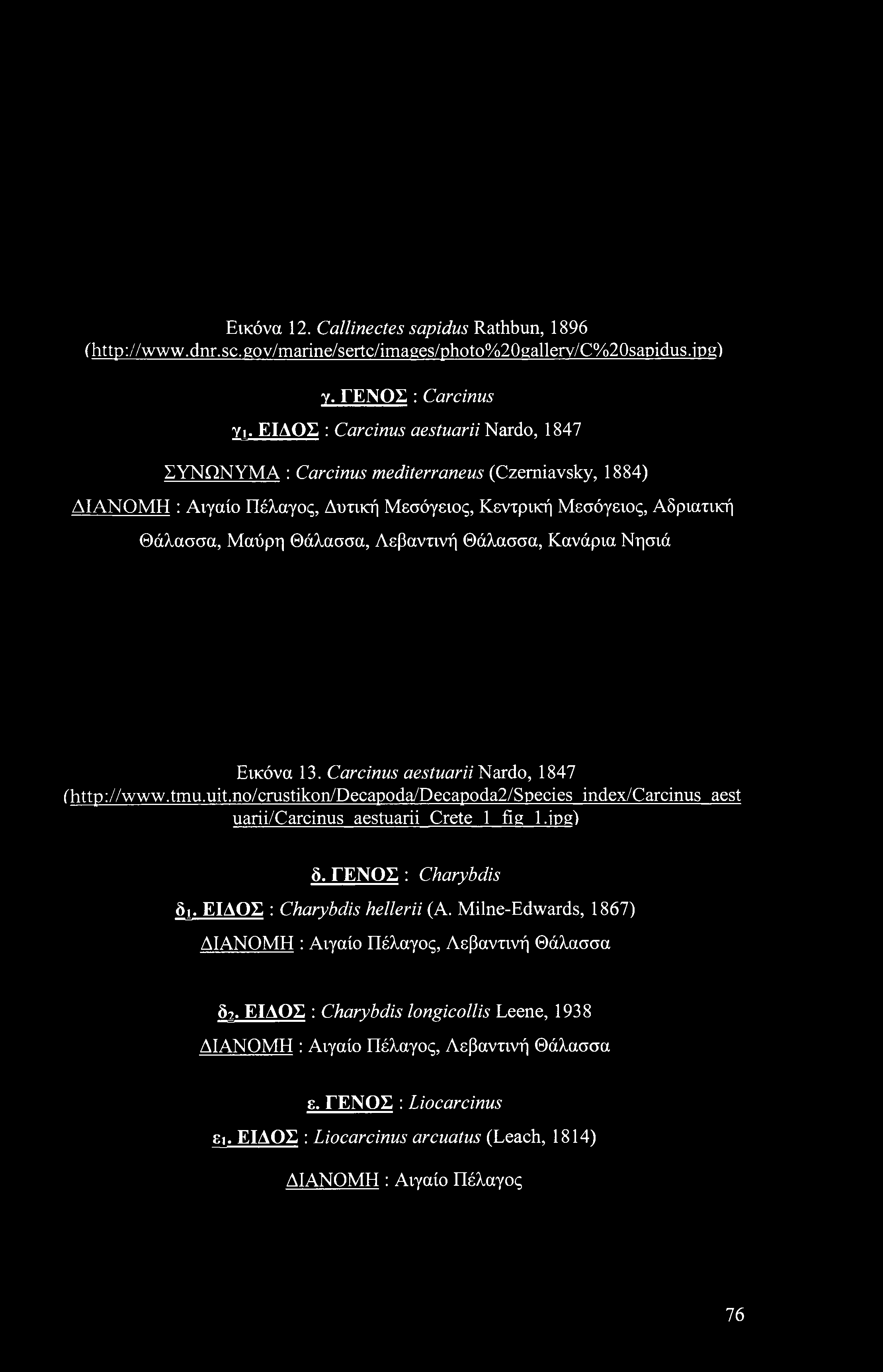 Εικόνα 12. Callinectes sapidus Rathbun, 1896 (http://www.dnr.sc.gov/marine/sertc/images/photo%20gallerv/c%20sapidus.ipg) y. ΓΕΝΟΣ : Carcinus Υι.
