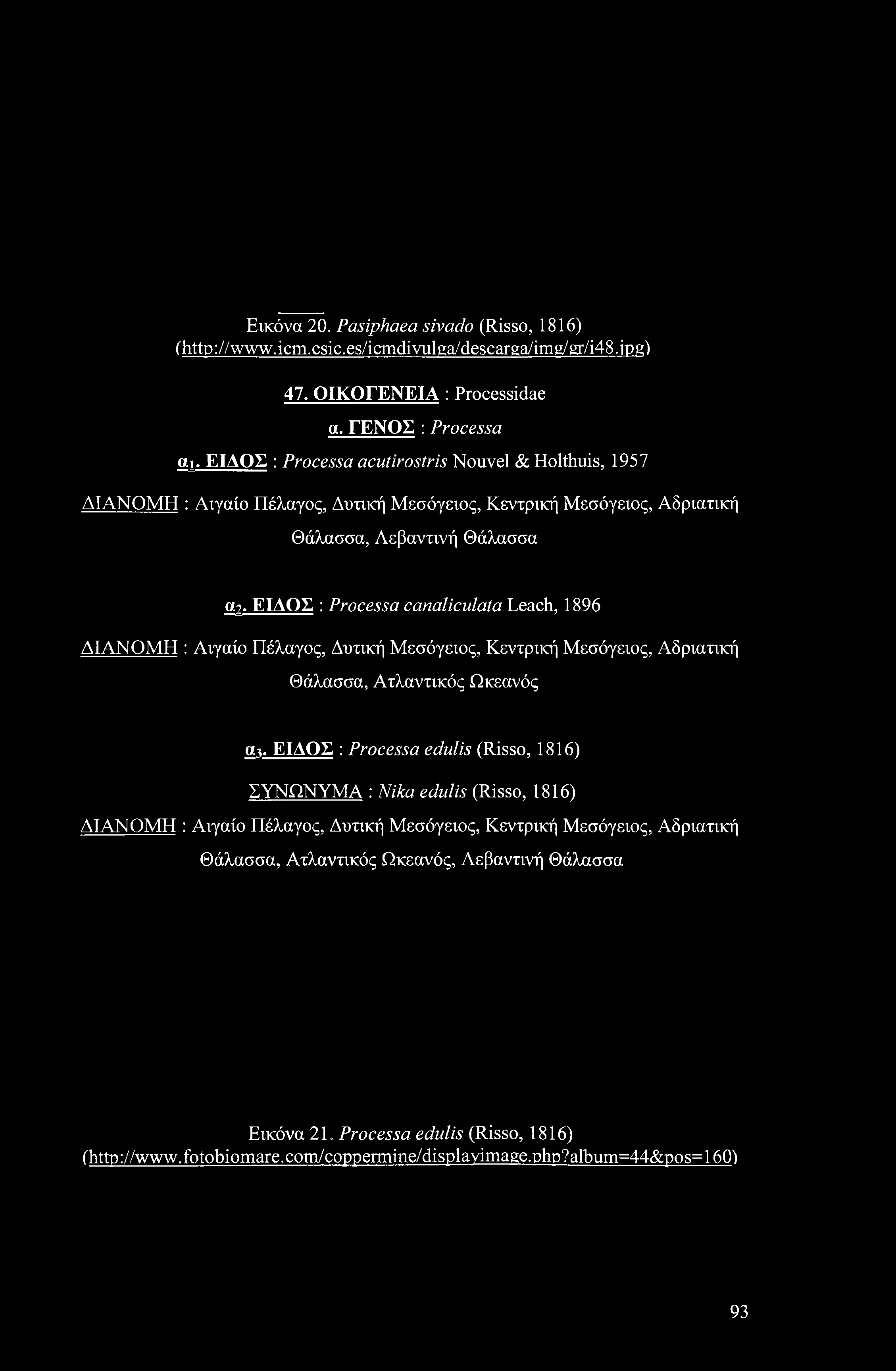 Εικόνα 20. Pasiphaea sivado (Risso, 1816) (http://www.icm.csic.es/icmdivulga/descarga/img/gr/i48.ipg) 47. ΟΙΚΟΓΕΝΕΙΑ : Processidae α. ΓΕΝΟΣ : Processa α,.