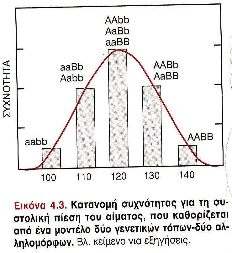 Περιβαλλοντικές επιδράσεις