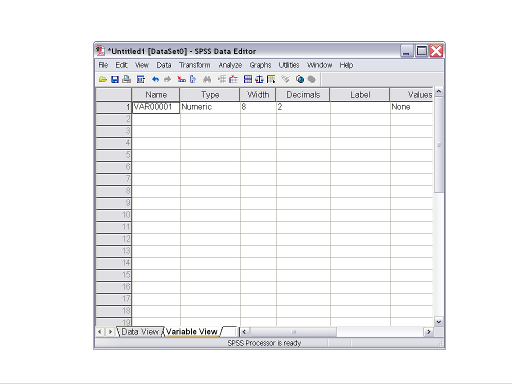 .6..5 Ονομασία και προβολή μεταβλητών Στο κάτω μέρος και αριστερά της οθόνης ενός αρχείου δεδομένων SPSS υπάρχει η ένδειξη Variable View μέσω της οποίας μπορούμε να ορίσουμε και να επεξεργαστούμε