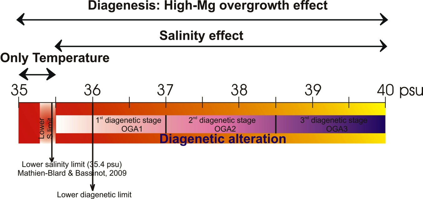 However, although this systematic relationship appears to be robust, additional work from additional sites in the Mediterranean and on other planktonic species could provide consistency in the