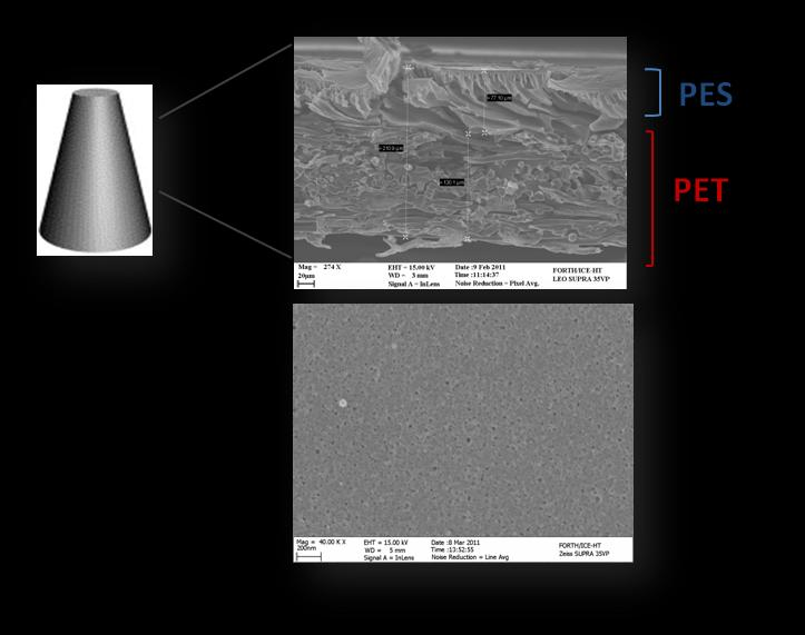 Σχήμα 5. Εικόνες SEM (επάνω) κάθετης τομής μεμβράνης PES/PET που φανερώνει το πορώδες κωνικού σχήματος και (κάτω) επιφάνειας της εν λόγω μεμβράνης.