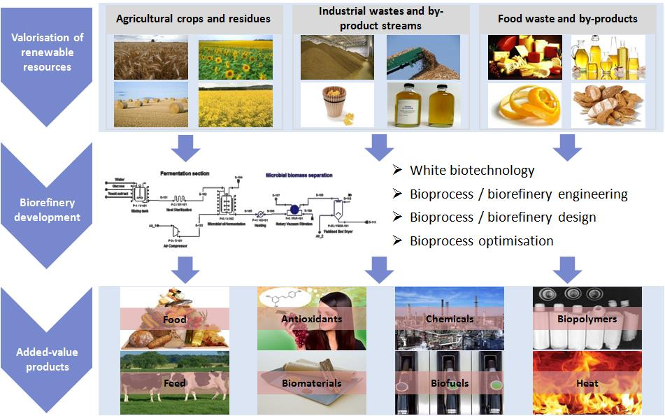 MSc direction entitled Food Bioprocesses and Biorefineries rganisation: Department of Food Science and Technology, Agricultural University of Athens Duration: 18 months (launched September 2012)