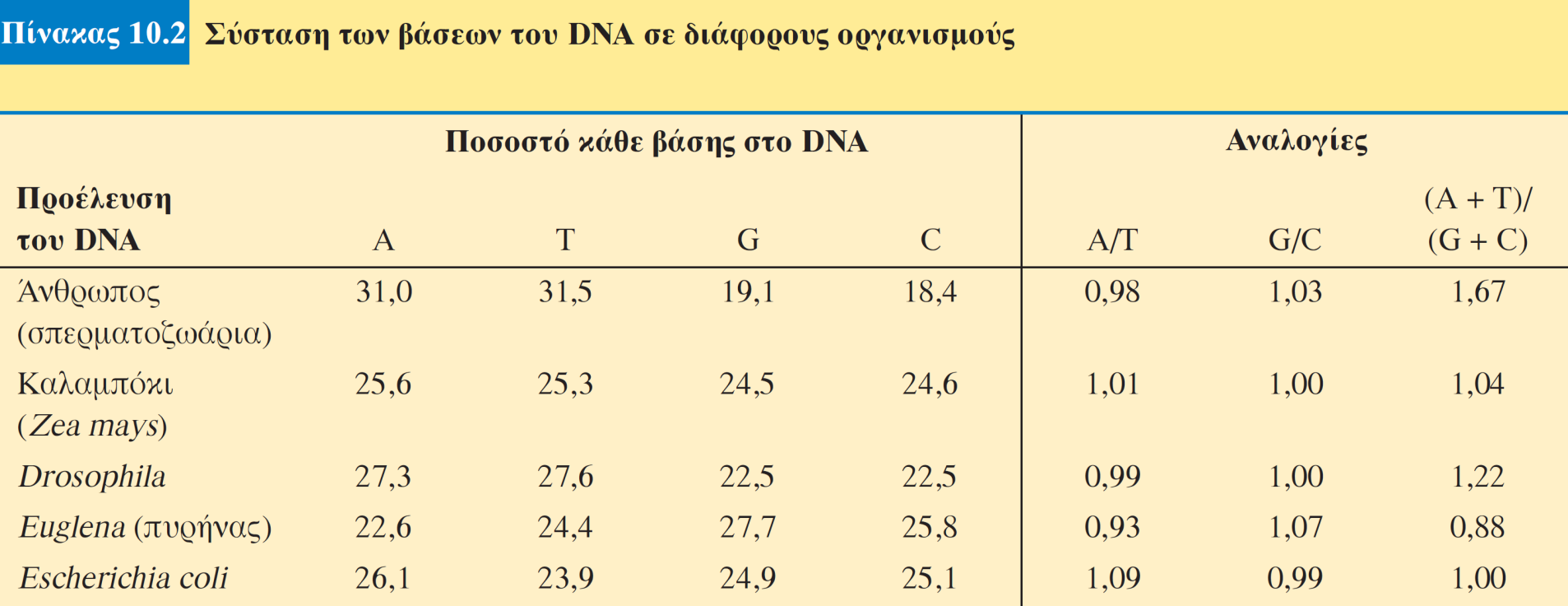 Οι αναλογίες του Chargaff Τι